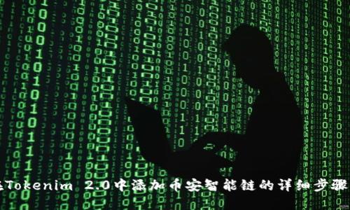 如何在Tokenim 2.0中添加币安智能链的详细步骤与指南