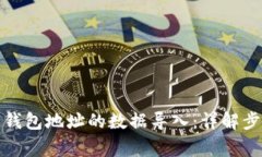 如何将一个空钱包地址的数据导入:详解步骤与