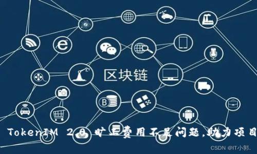 如何解决 TokenIM 2.0 旷工费用不足问题，助力项目持续发展