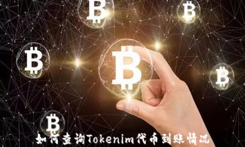 
如何查询Tokenim代币到账情况