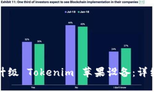 如何升级 Tokenim 苹果设备：详细指南