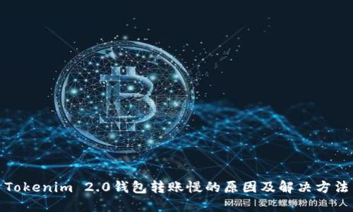 Tokenim 2.0钱包转账慢的原因及解决方法