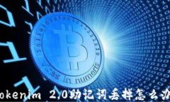 Tokenim 2.0助记词丢掉怎么办？