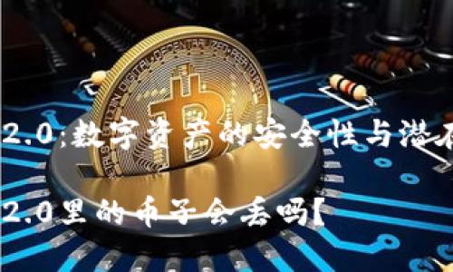 Tokenim 2.0：数字资产的安全性与潜在风险分析

Tokenim 2.0里的币子会丢吗？