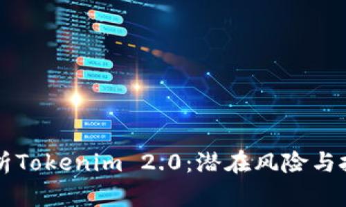 深入解析Tokenim 2.0：潜在风险与投资决策