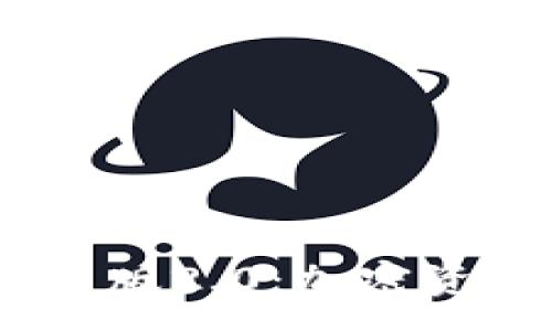 :
Tokenim 安卓版2.0：加密资产管理新纪元