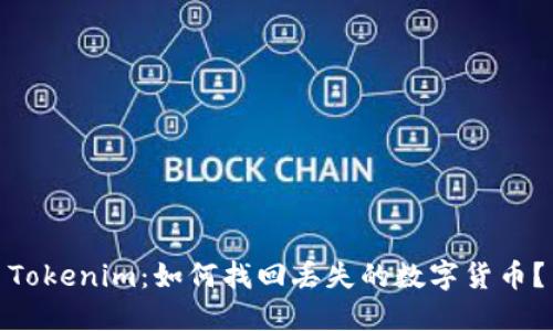 Tokenim：如何找回丢失的数字货币？