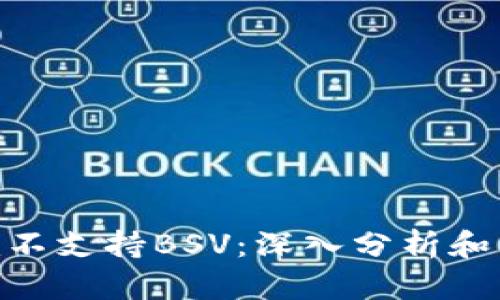 Tokenim不支持BSV：深入分析和影响探索