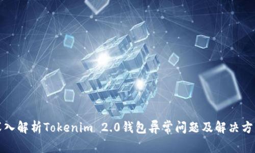 深入解析Tokenim 2.0钱包异常问题及解决方案