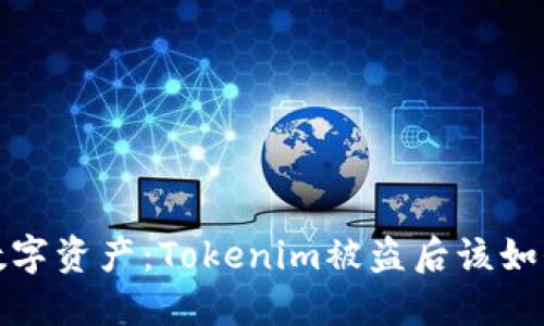 保护数字资产：Tokenim被盗后该如何应对