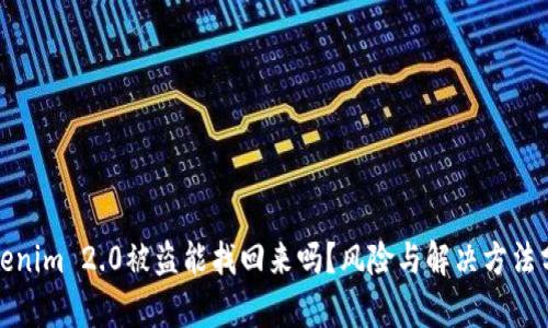 Tokenim 2.0被盗能找回来吗?风险与解决方法分析