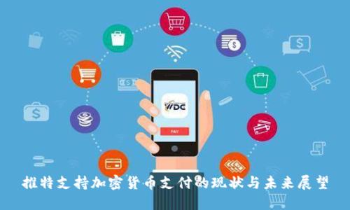 推特支持加密货币支付的现状与未来展望