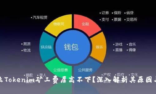 为什么Tokenim矿工费居高不下?深入解析其原因与影响