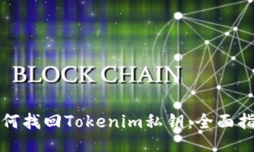 如何找回Tokenim私钥：全面指南