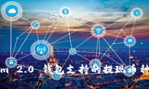 Tokenim 2.0 钱包支持的提现币种全解析