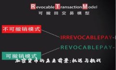 加密货币的未来前景:机遇与挑战