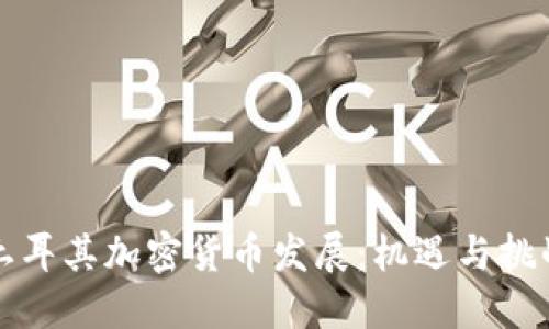 土耳其加密货币发展:机遇与挑战