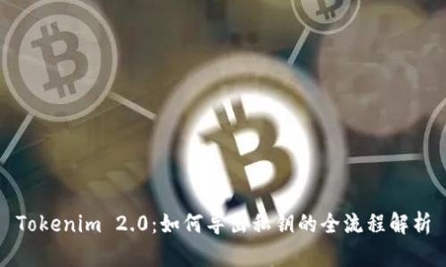 Tokenim 2.0：如何导出私钥的全流程解析