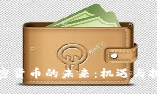 加密货币的未来:机遇与挑战