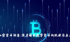 加密货币调查：深度解析数字货币的现状与未来