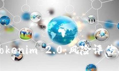 深度揭秘Tokenim 2.0:风险评估与未来趋势