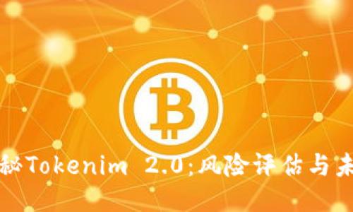 深度揭秘Tokenim 2.0:风险评估与未来趋势