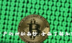 揭开数字资产的神秘面纱：全面了解加密货币取