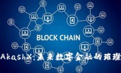 探索AkashX：未来数字金融的璀璨星辰