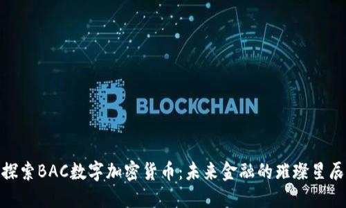 探索BAC数字加密货币：未来金融的璀璨星辰