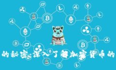 挖掘财富的秘密：深入了解加密货币的矿业之旅