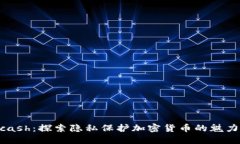 揭秘Zcash：探索隐私保护加密货币的魅力与潜力