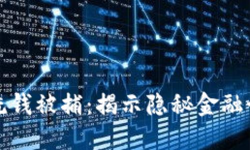 加密货币平台洗钱被捕：揭示隐秘金融世界的黑暗角落