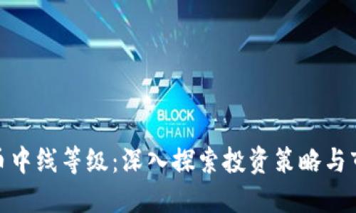 加密货币中线等级：深入探索投资策略与市场价值