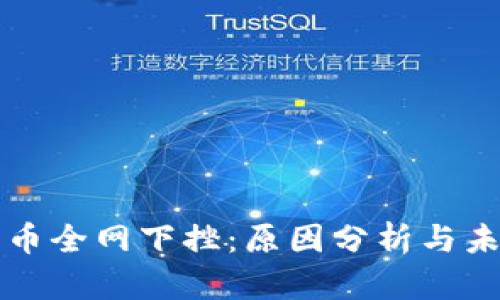 加密货币全网下挫：原因分析与未来展望