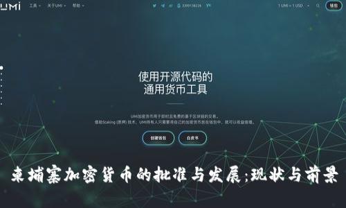 柬埔寨加密货币的批准与发展：现状与前景